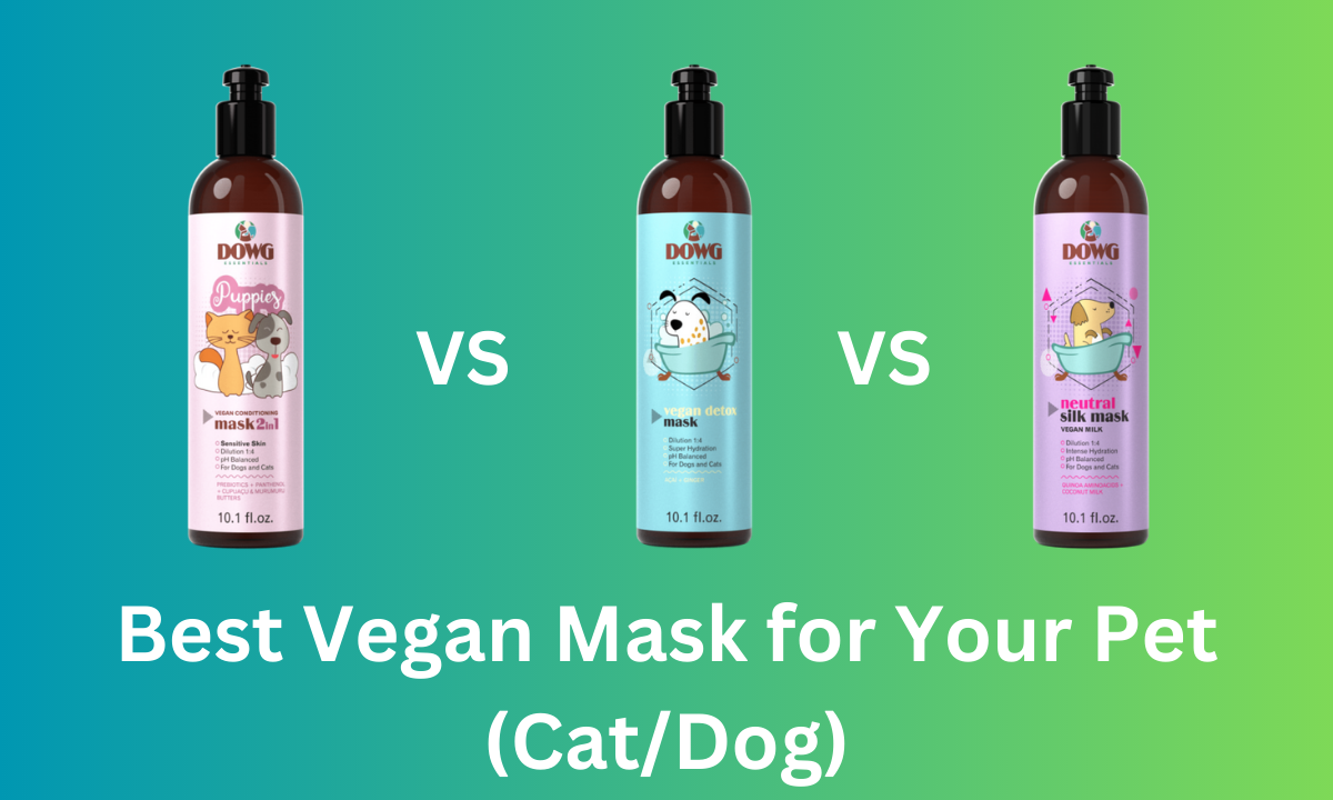 Best Vegan Mask for Your Pet CatDog